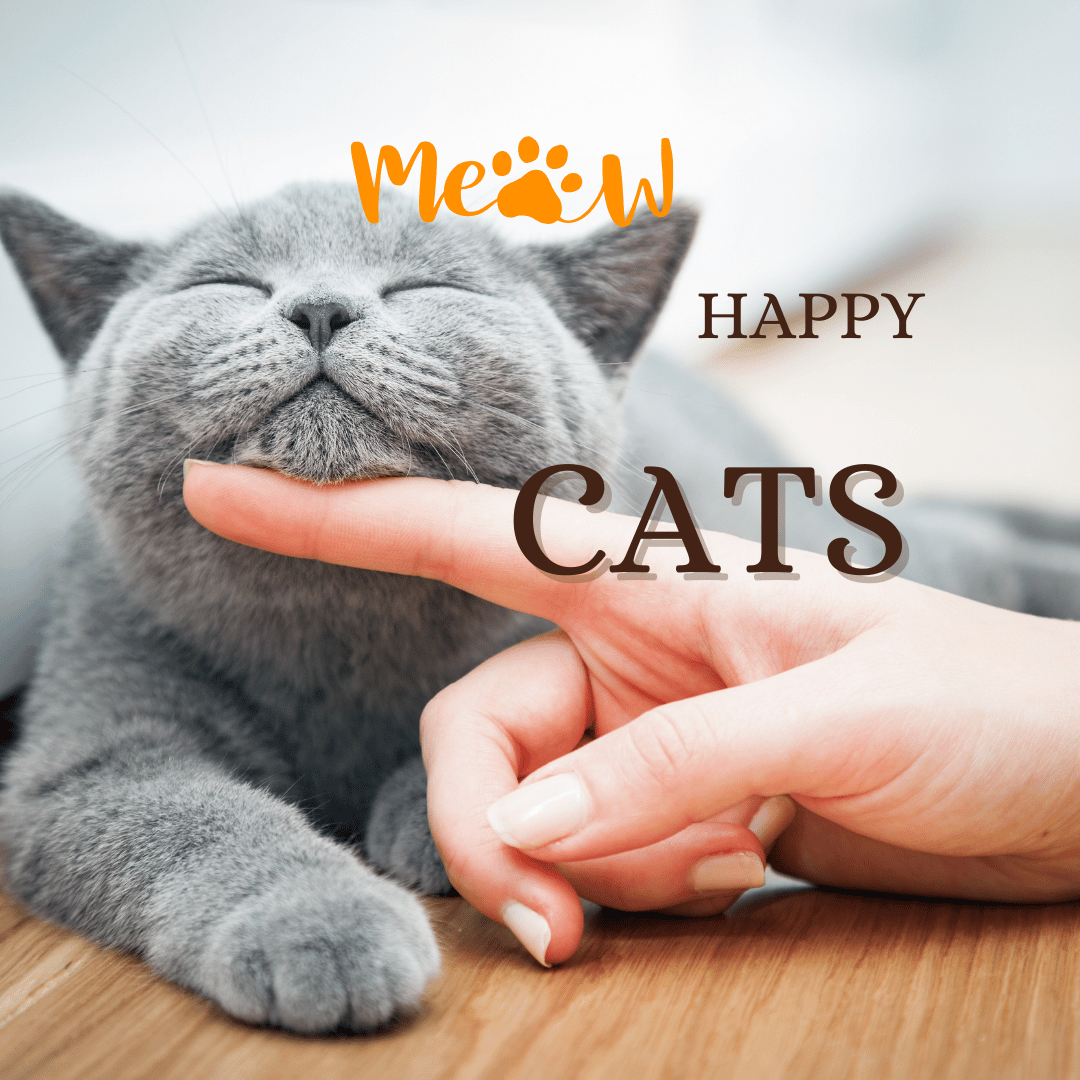 cats