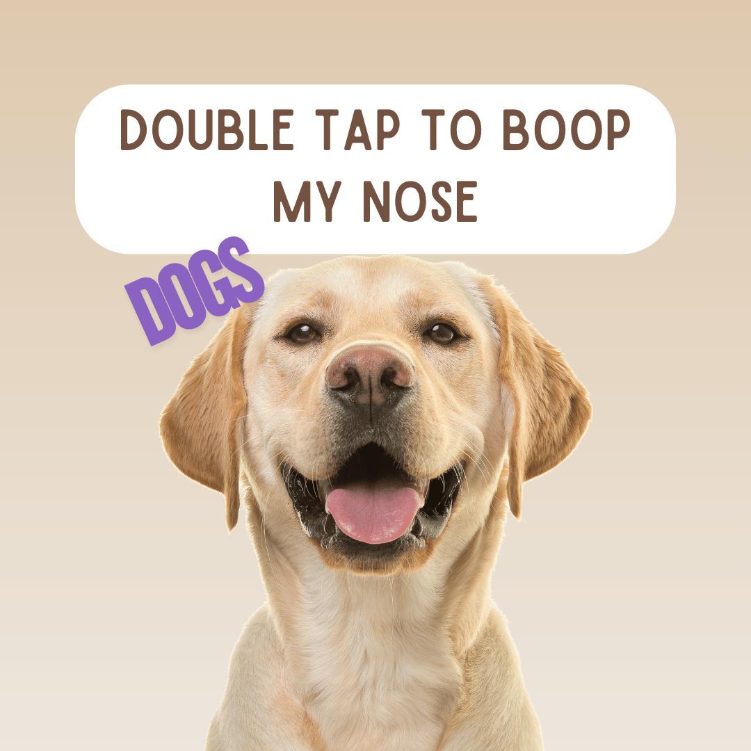 dogs