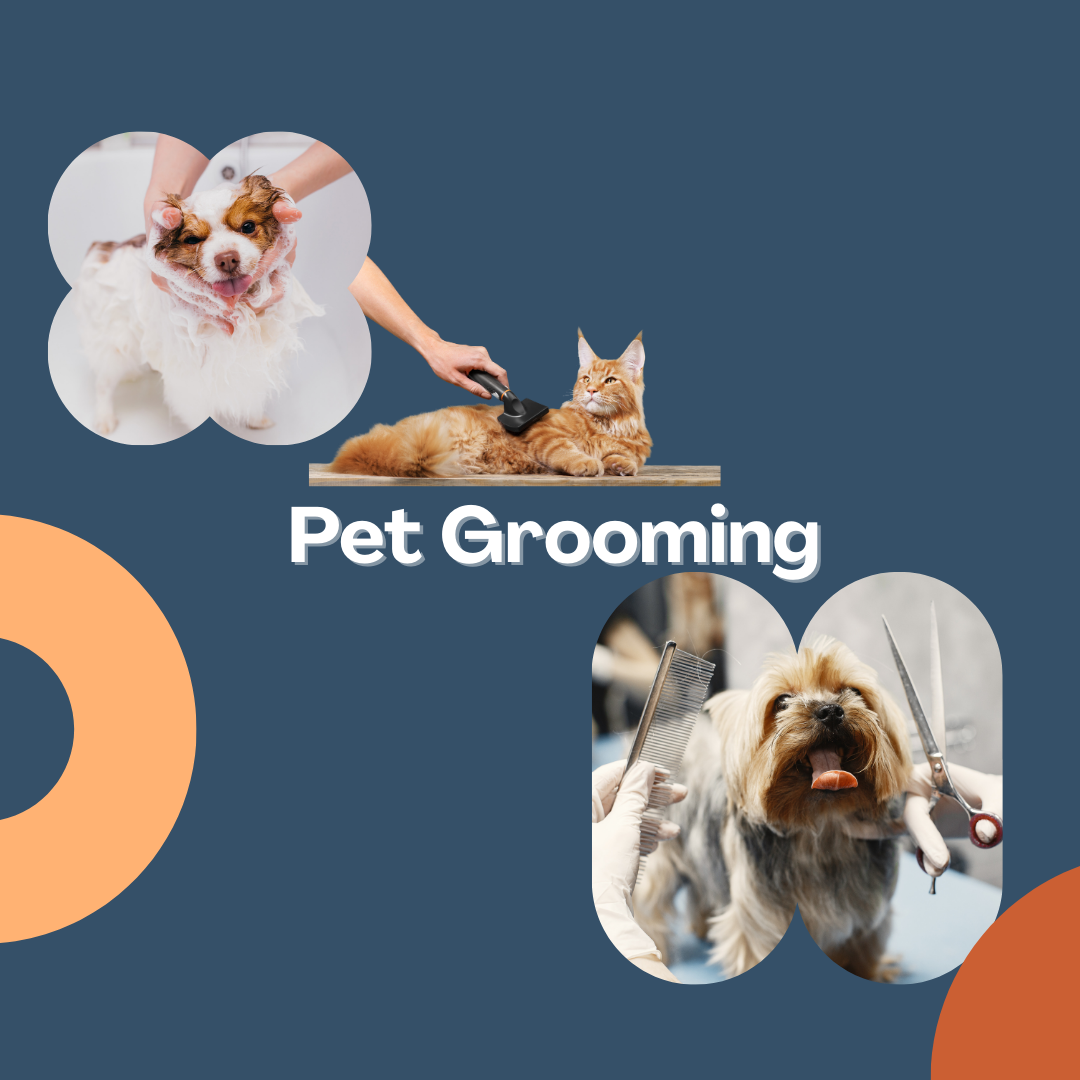 pet_grooming