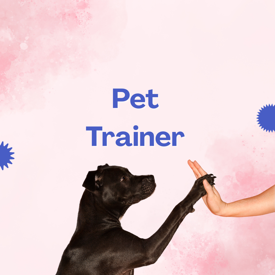 pet_trainer