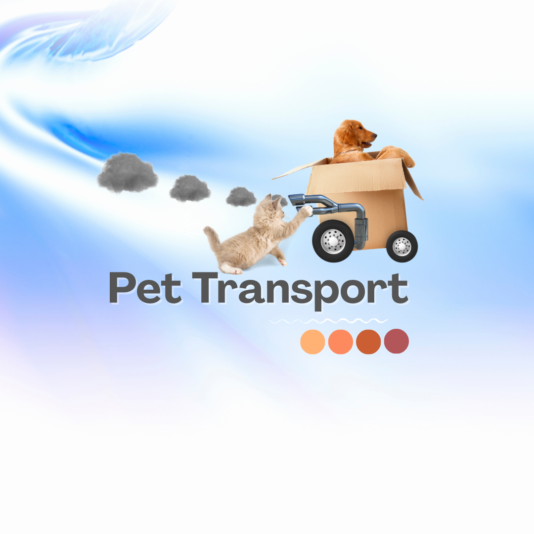 pet_transport